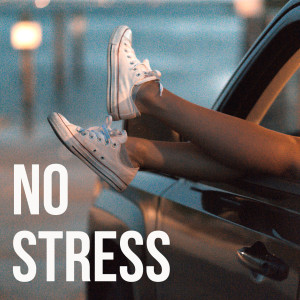 Album No Stress from Various Artists