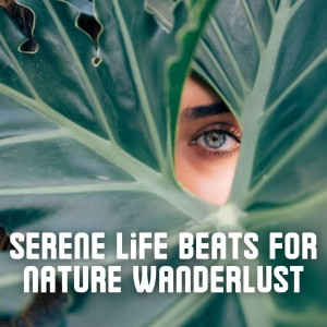 Serene Life Beats for Nature Wanderlust