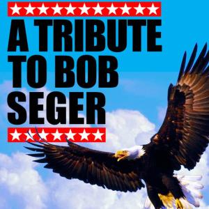 อัลบัม A Tribute To Bob Seger ศิลปิน Night Moves