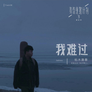 Dengarkan 我难过 lagu dari 枯木逢春 dengan lirik