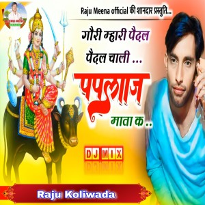 ดาวน์โหลดและฟังเพลง Gori Mahari Pedal Pedal Chali Paplaj Mata K พร้อมเนื้อเพลงจาก Raju Koliwada