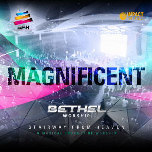 Album Magnificent from Various Artists