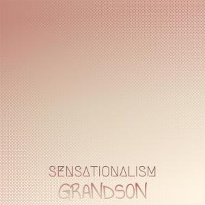 Various的专辑Sensationalism Grandson