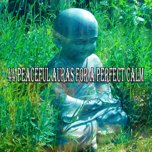 收听Asian Zen Spa Music Meditation的Harmony in Person歌词歌曲