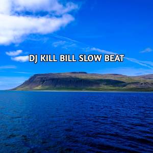 อัลบัม DJ KILL BILL SLOW BEAT ศิลปิน ZBI Crew