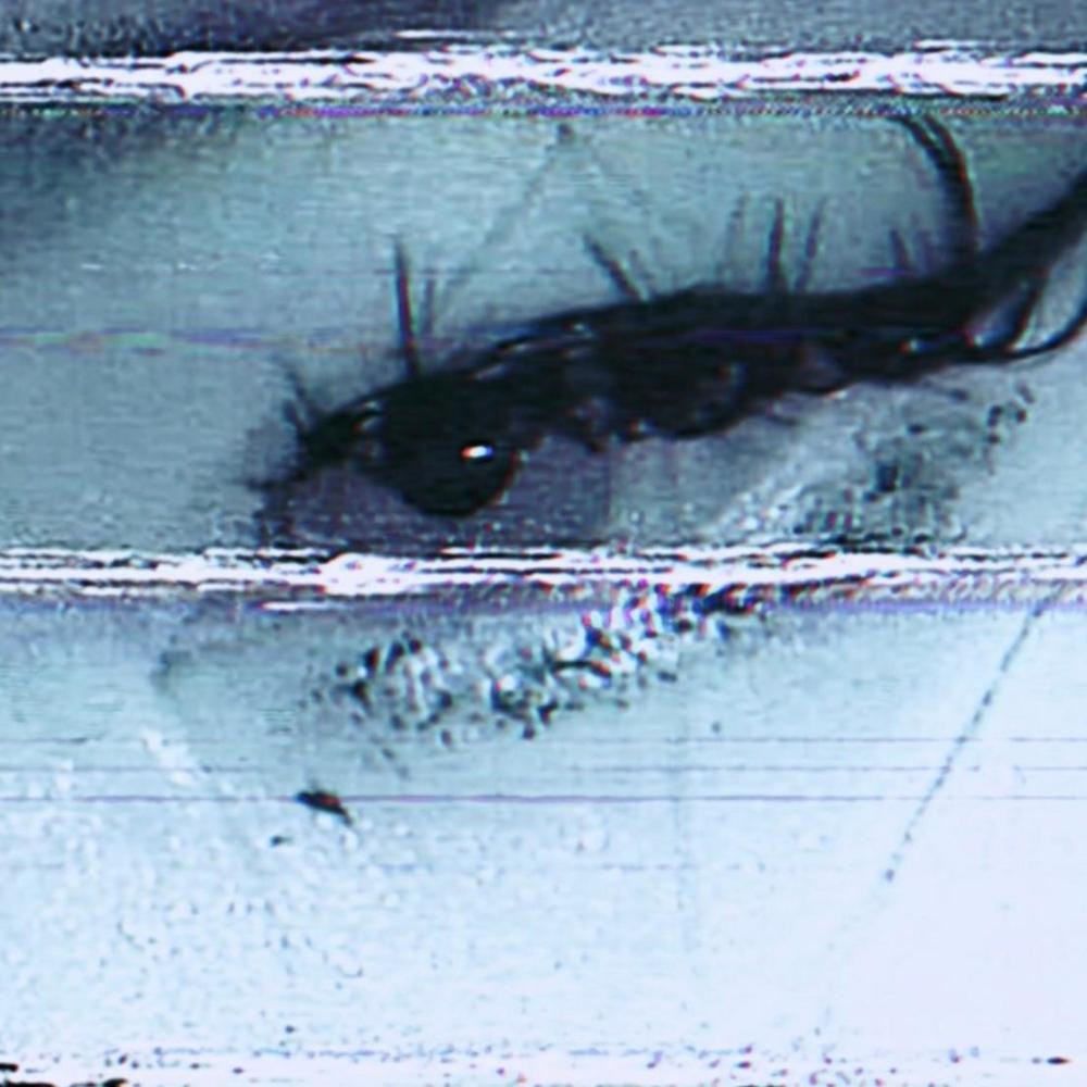 rotting in my room
