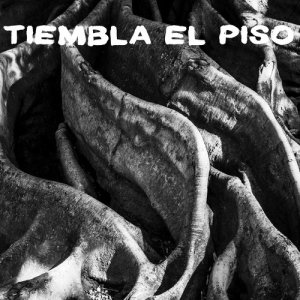 อัลบัม Tiembla el Piso - Single ศิลปิน Árbol