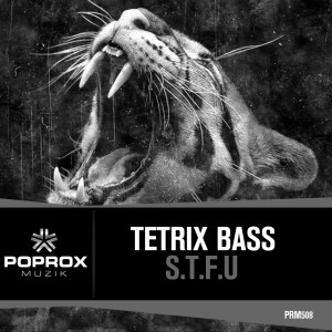 收聽Tetrix Bass的S.T.F.U (Original Mix)歌詞歌曲