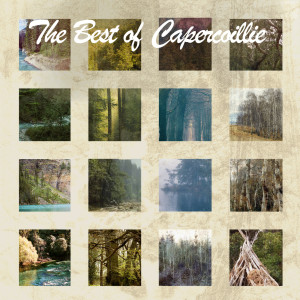 Capercaillie的專輯The Best Of Capercaillie