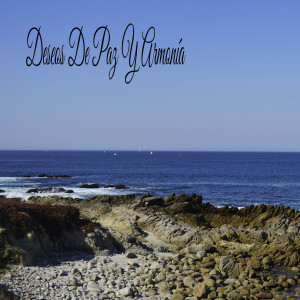 Album Deseos De Paz Y Armonía from Rain Sound Studio