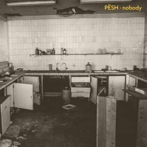 ดาวน์โหลดและฟังเพลง Nobody พร้อมเนื้อเพลงจาก Pësh