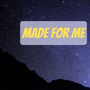 收聽DJ Comento的Nobody Knows Me Like You Do (Made for Me)歌詞歌曲