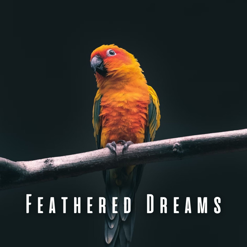 Rainy Avian Reverie