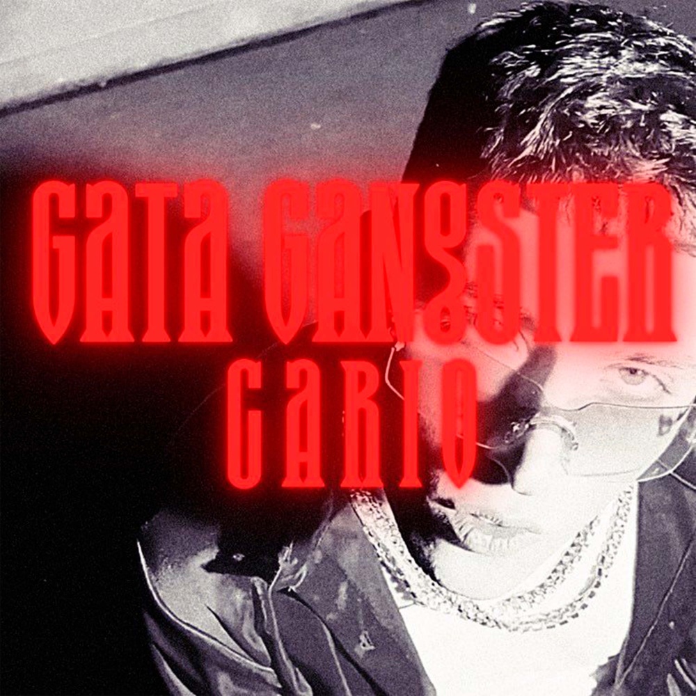 Gata Gangster (Explicit)