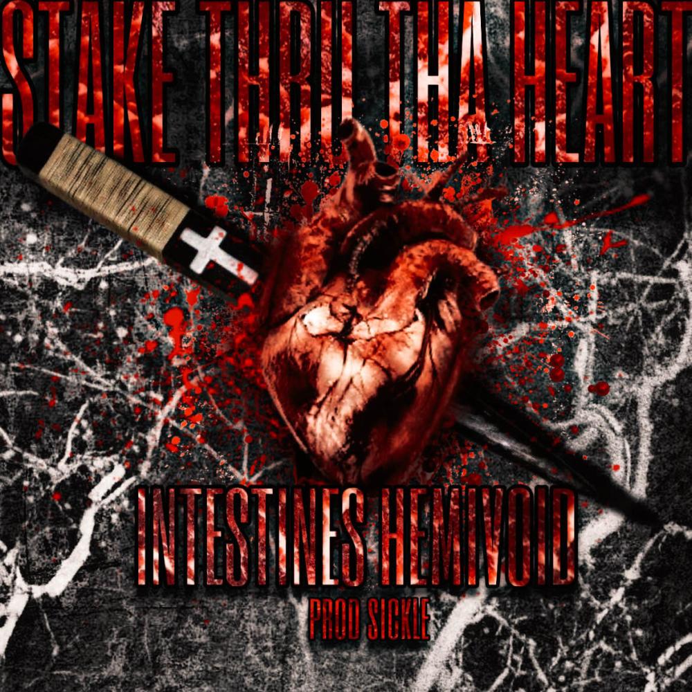 Stake Thru Tha Heart (feat. hemivoid) (Explicit)