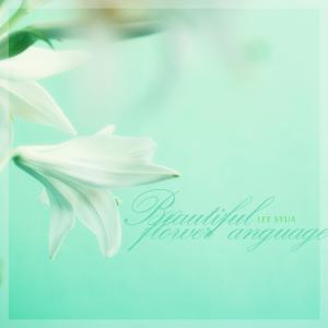 Album Beautiful flower language from Lee Syua