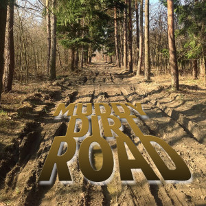 Album Muddy Dirt Road from T Rexxx