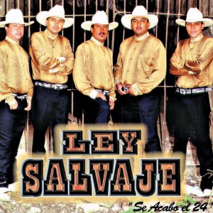 ดาวน์โหลดและฟังเพลง Se Acabó el 24 พร้อมเนื้อเพลงจาก Ley Salvaje