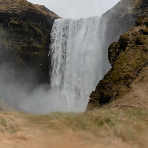 Dengarkan New Star lagu dari Relaxing Music dengan lirik