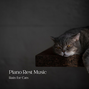 Album Piano Rest Music: Rain for Cats from Piano Jazz Bar