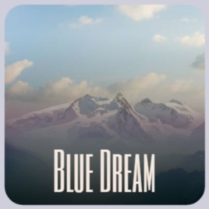 收聽Don Gibson的Blue Dream歌詞歌曲