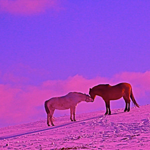 Listen to Rainbow song with lyrics from Chavinsky