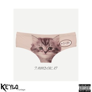ดาวน์โหลดและฟังเพลง Thundercat (Explicit) พร้อมเนื้อเพลงจาก Keylo Foreign
