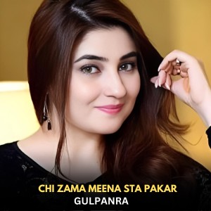 Album Chi Zama Meena Sta Pakar from 