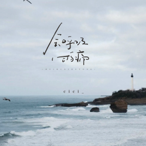 Album 会呼吸的痛（回忆版） from cici_