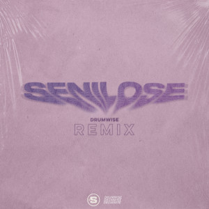 Royce Kané的專輯SeniLose (DRUMWISE Remix)
