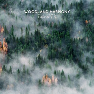 Album Woodland Harmony from Factorial FX