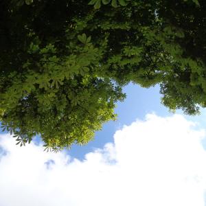 Omaure的專輯Rebuild