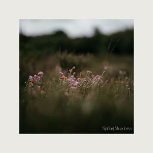 อัลบัม Spring Meadows ศิลปิน Josh Kramer
