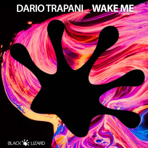 收聽Dario Trapani的Wake Me歌詞歌曲