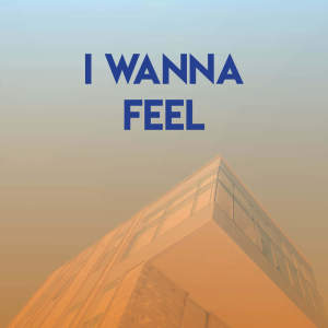 Listen to I Wanna Feel song with lyrics from Sonic Riviera