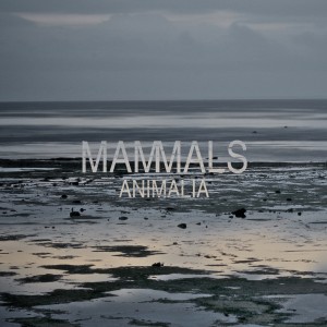 ดาวน์โหลดและฟังเพลง Wolf พร้อมเนื้อเพลงจาก Mammals