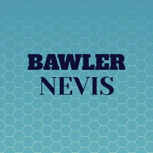 Album Bawler Nevis from Various
