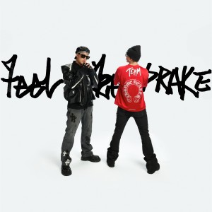Listen to Feel Like Drake song with lyrics from Wilber Pan (潘玮柏)