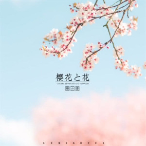 收听乐小菲的樱花与花歌词歌曲