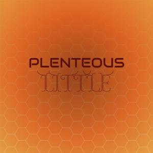 Album Plenteous Little from Various