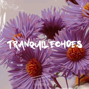 收聽Arnold Stone的Tranquil Echoes歌詞歌曲