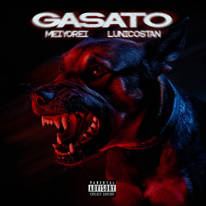 ดาวน์โหลดและฟังเพลง GASATO (Explicit) พร้อมเนื้อเพลงจาก MeiyoRei