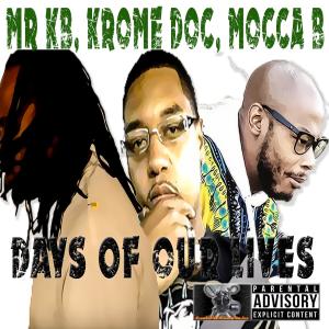 Listen to Days of Our Lives (feat. Krome Doc & Mocca B) (Explicit) song with lyrics from Mr KB