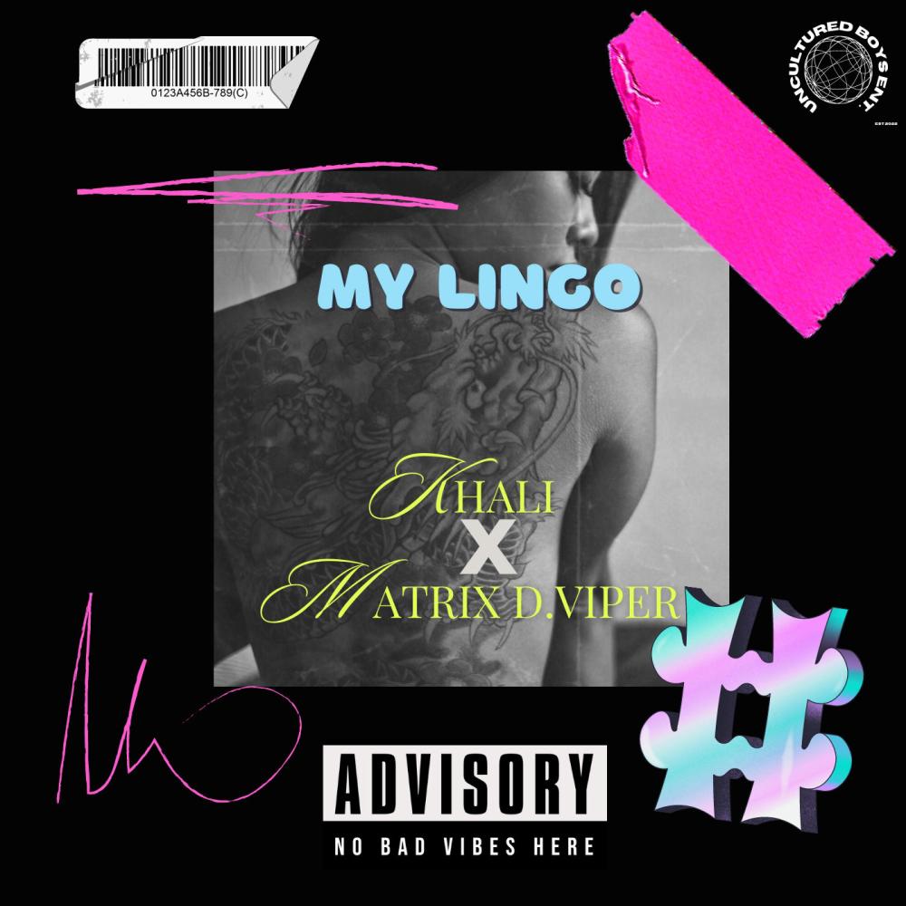 My lingo (feat. Matrix dviper) (Explicit)