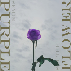 Album 자주색 꽃 (Purple Flower) from southh