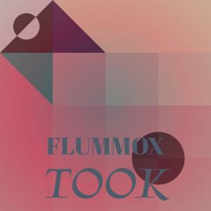 อัลบัม Flummox Took ศิลปิน Various