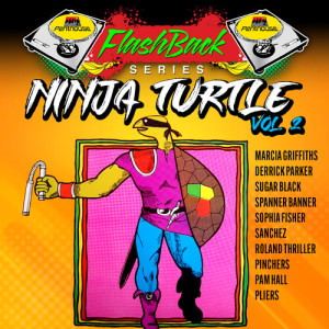 Album Penthouse Flashback Series: Ninja Turtle, Vol.2 from Various