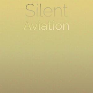 Various的专辑Silent Aviation
