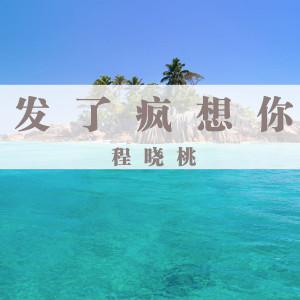 ดาวน์โหลดและฟังเพลง 发了疯想你 พร้อมเนื้อเพลงจาก 程晓桃