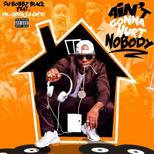 DJ Bobby Black的專輯Ain't Gonna Hurt Nobody (feat. Mr. Cheeks & Cupid) (Explicit)